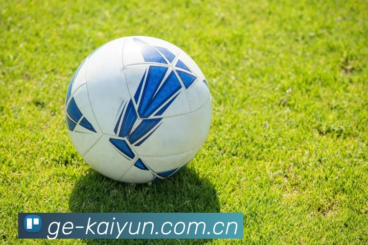 kaiyun全站网页版登陆(全站)入口Kaiyun官方网站登录. App界面